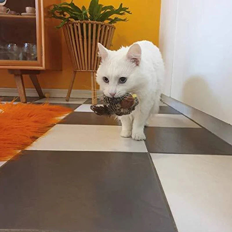 Catfri® BirdToy: Vuorovaikutteinen Sirkuttava Lintulelu Kissoille
