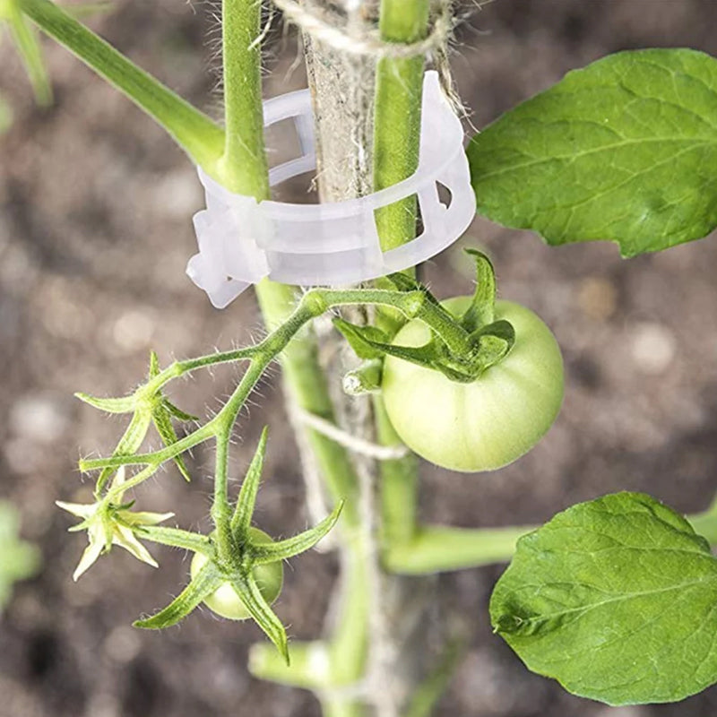 PlantClips - Uudelleenkäytettävät Kasvien Tukipidikkeet Ja Fixing klipsit