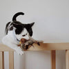 Catfri® BirdToy: Vuorovaikutteinen Sirkuttava Lintulelu Kissoille