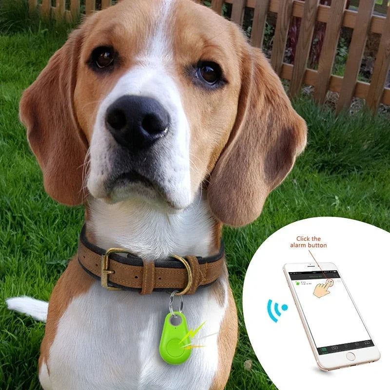 DogCatFri™ PetTracker - Bluetooth Lemmikki Langaton Tracker