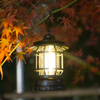 Ledsen™ -Kannettava Retro SMART Lamppu