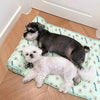 DogCatFri™ CoolMat: Jäähdytys Mat For Koirille Ja Kissoille