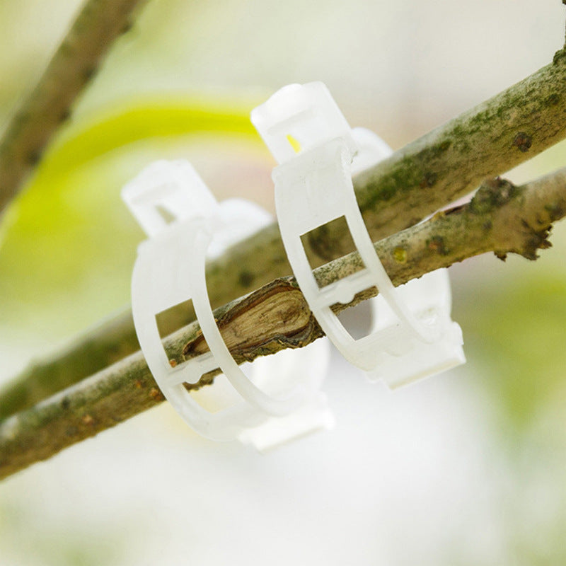 PlantClips - Uudelleenkäytettävät Kasvien Tukipidikkeet Ja Fixing klipsit