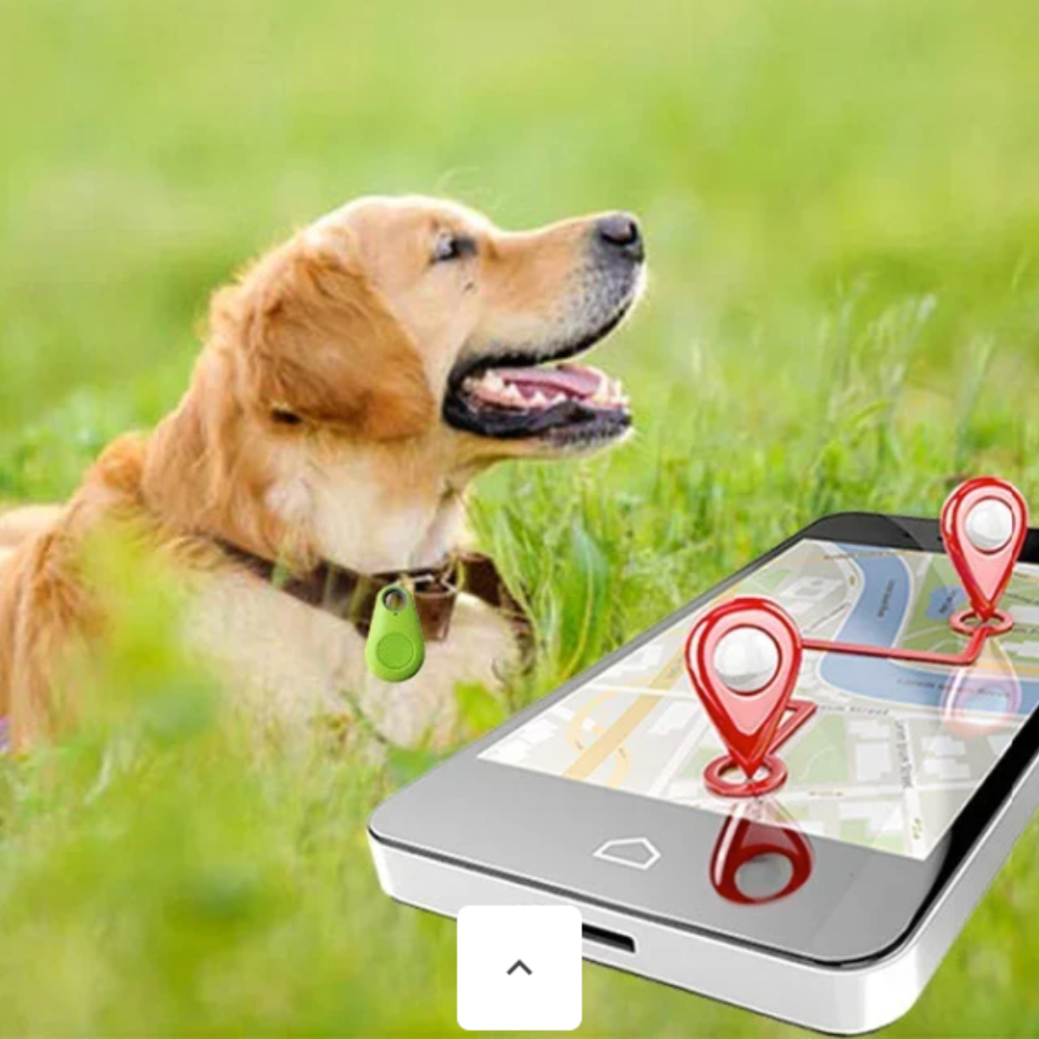 DogCatFri™ PetTracker - Bluetooth Lemmikki Langaton Tracker