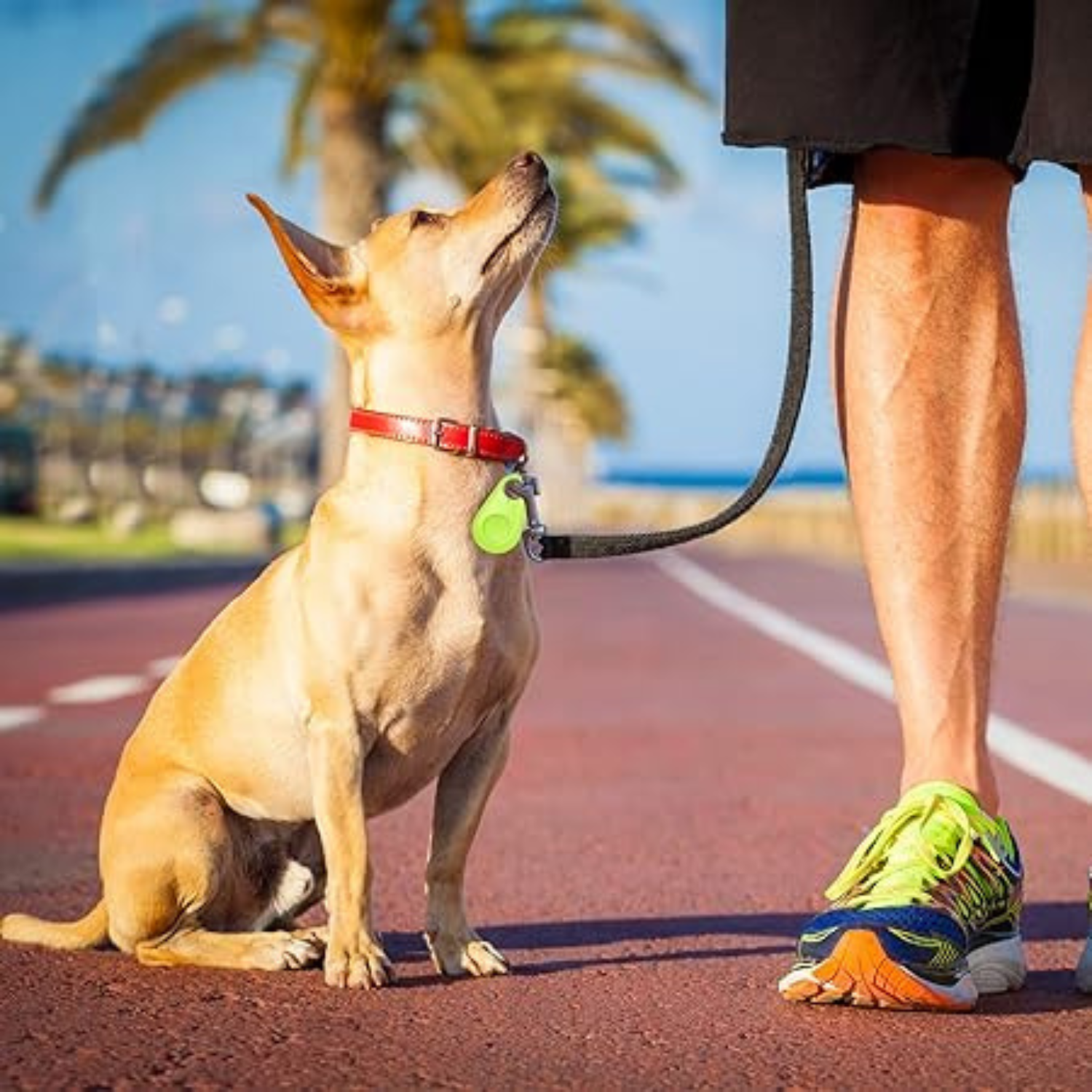 DogCatFri™ PetTracker - Bluetooth Lemmikki Langaton Tracker