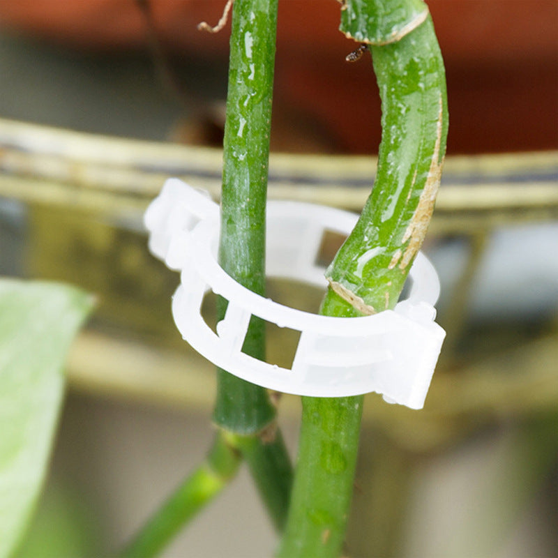 PlantClips - Uudelleenkäytettävät Kasvien Tukipidikkeet Ja Fixing klipsit