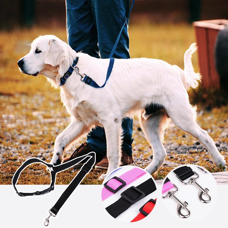 DogCatFri™ CarLeash 1+1 ILMAINEN: Säädettävä Turvallinen Lemmikkieläinten Turvaistuin Talutushihna