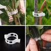 PlantClips - Uudelleenkäytettävät Kasvien Tukipidikkeet Ja Fixing klipsit