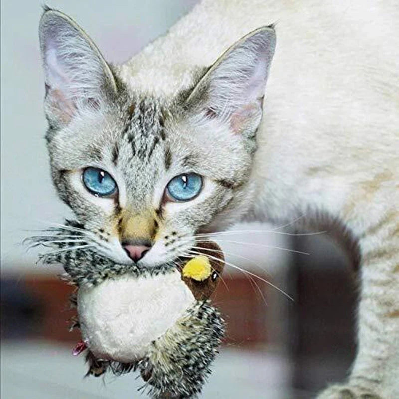 Catfri® BirdToy: Vuorovaikutteinen Sirkuttava Lintulelu Kissoille