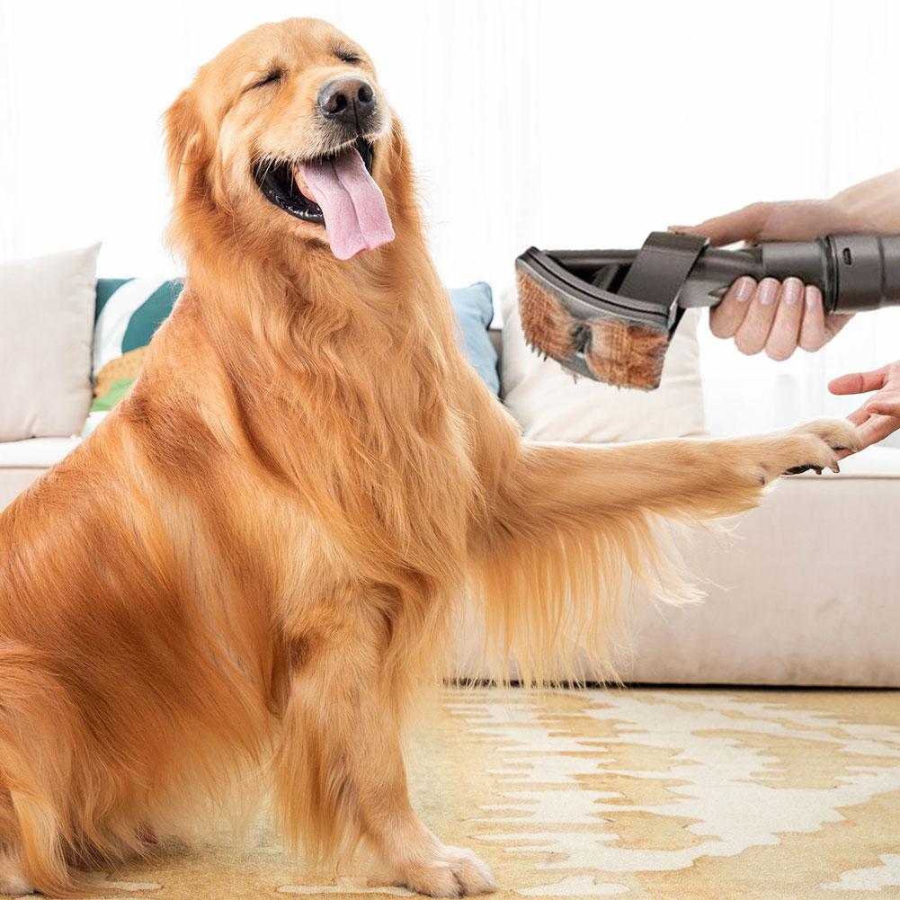 DogCatFri™ VacuumBrush - Lemmikkieläinten Hoito Pölynimuri Harja Työkalu