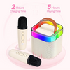 KaraokePro – Mini Karaokekone Langattomilla Mikrofoneilla