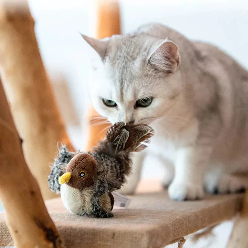 Catfri® BirdToy: Vuorovaikutteinen Sirkuttava Lintulelu Kissoille