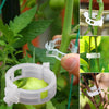 PlantClips - Uudelleenkäytettävät Kasvien Tukipidikkeet Ja Fixing klipsit