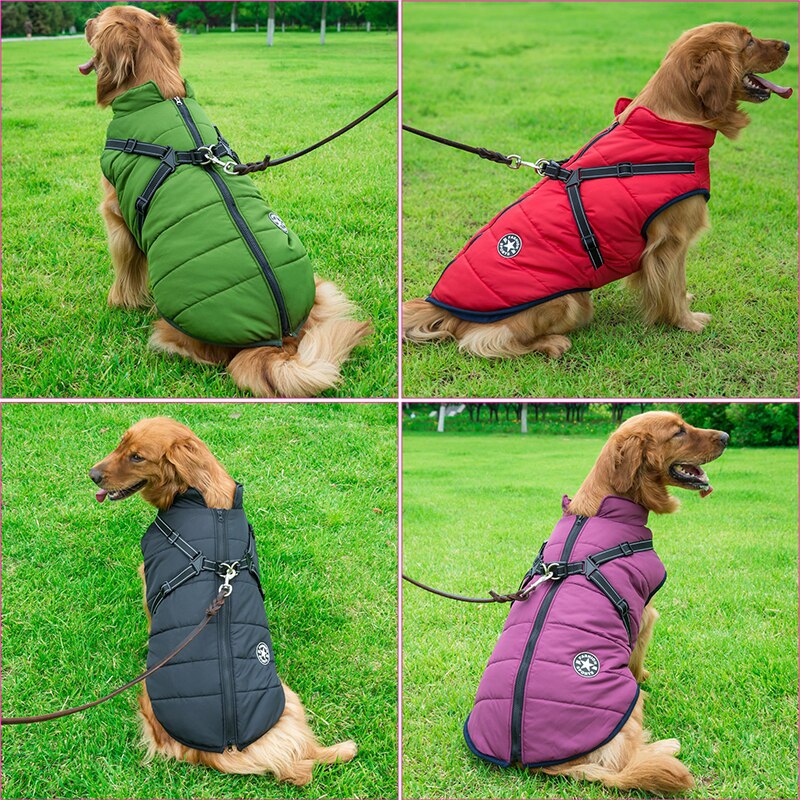DogFri™ DogJacket: Vedenpitävä Talvi Koiran Takki