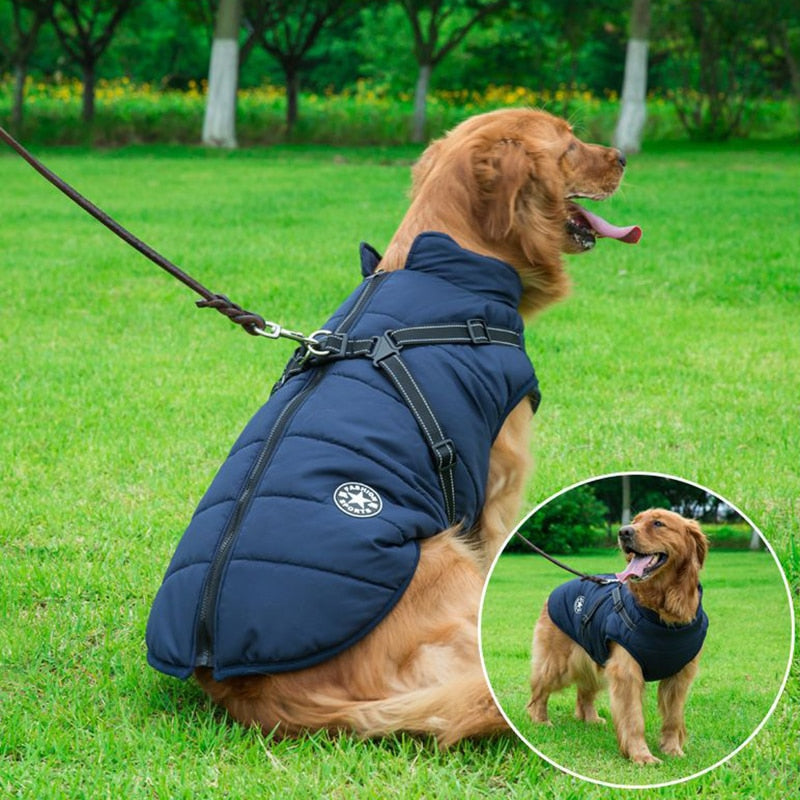 DogFri™ DogJacket: Vedenpitävä Talvi Koiran Takki