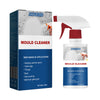 Cleaner Pro° AntiMould: Homeen Vastainen Puhdistusvaahto