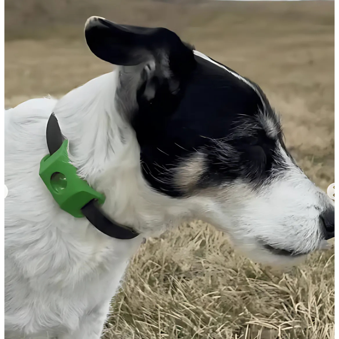 DogCatFri™ Anti-FleaPendant 1+1 ILMAINEN: Anti-Punkki Ja Kirppu -Riipusuojaus