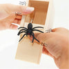 SpiderBox - Hämähäkki Pelästyttää Kepponen Laatikko