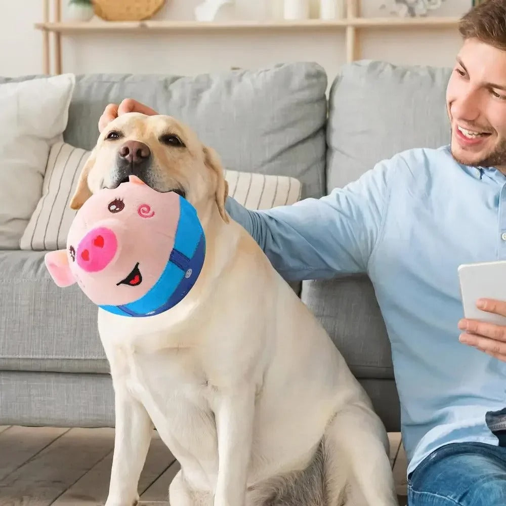 DogCatFri™ BouncingToy: Interaktiivinen Lemmikkieläinten Pomppiva Pehmolelu Pallo