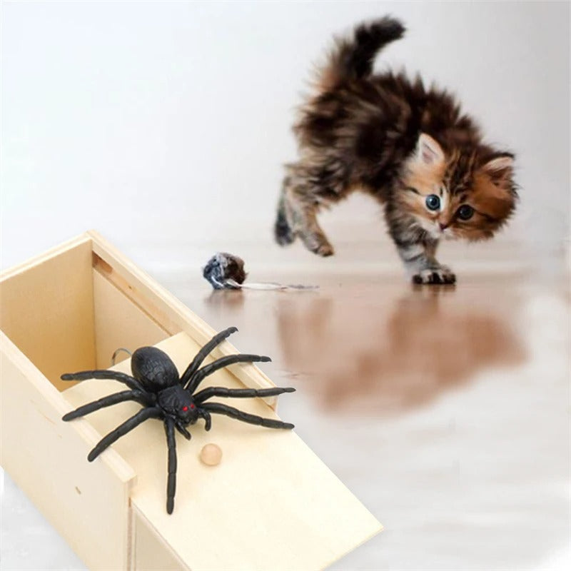 SpiderBox - Hämähäkki Pelästyttää Kepponen Laatikko