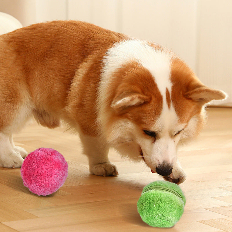 DogFri™ ActiveBall - Anti-Ahdistus Automaattinen Rullaava Pallo