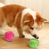 DogFri™ ActiveBall - Anti-Ahdistus Automaattinen Rullaava Pallo