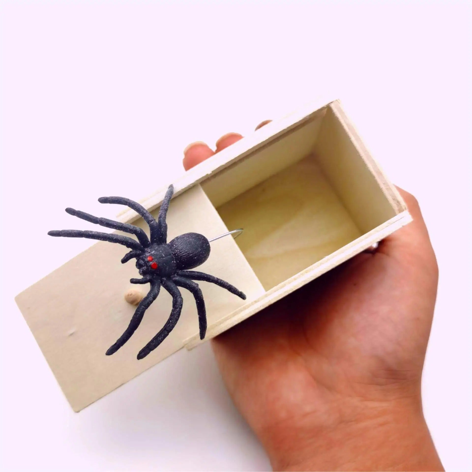 SpiderBox - Hämähäkki Pelästyttää Kepponen Laatikko