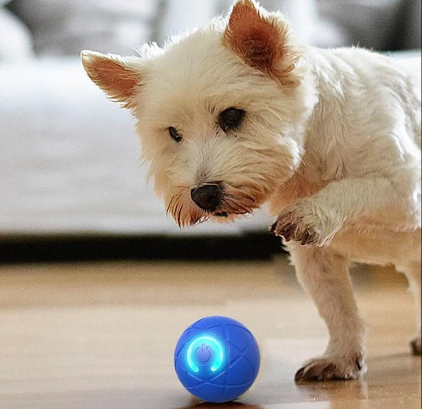 DogCatFri™ InteractiveBall:  Ladattava Interaktiivinen Lemmikkilelu Pallo