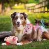 DogCatFri™ BouncingToy: Interaktiivinen Lemmikkieläinten Pomppiva Pehmolelu Pallo