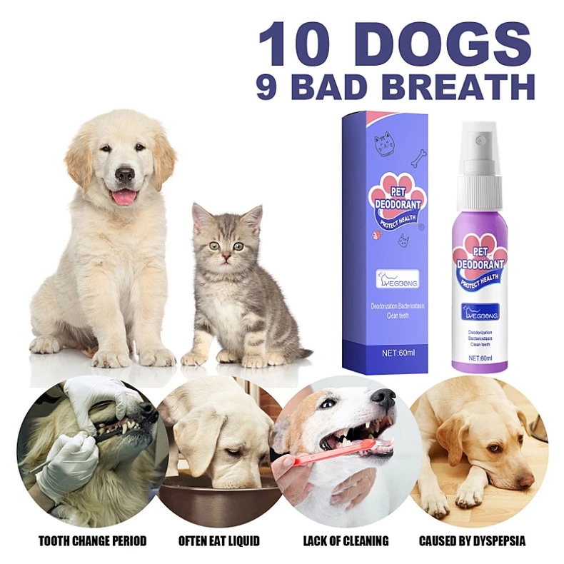 DogCatFri™ PetSpray: Lemmikkieläinten Hengityksen Raikastussuihke