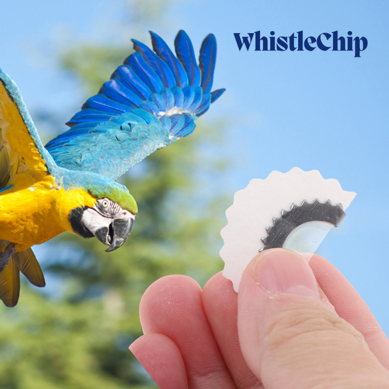 BirdWhistle 1+1 ILMAINEN – Mini Taikalintujen Kutsu Pillikutsu Siru
