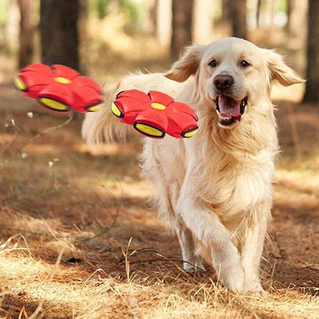 DogFri™ DiscBall 1+1 ILMAINEN - Doggy Levy Pallo Lemmikki Lelu