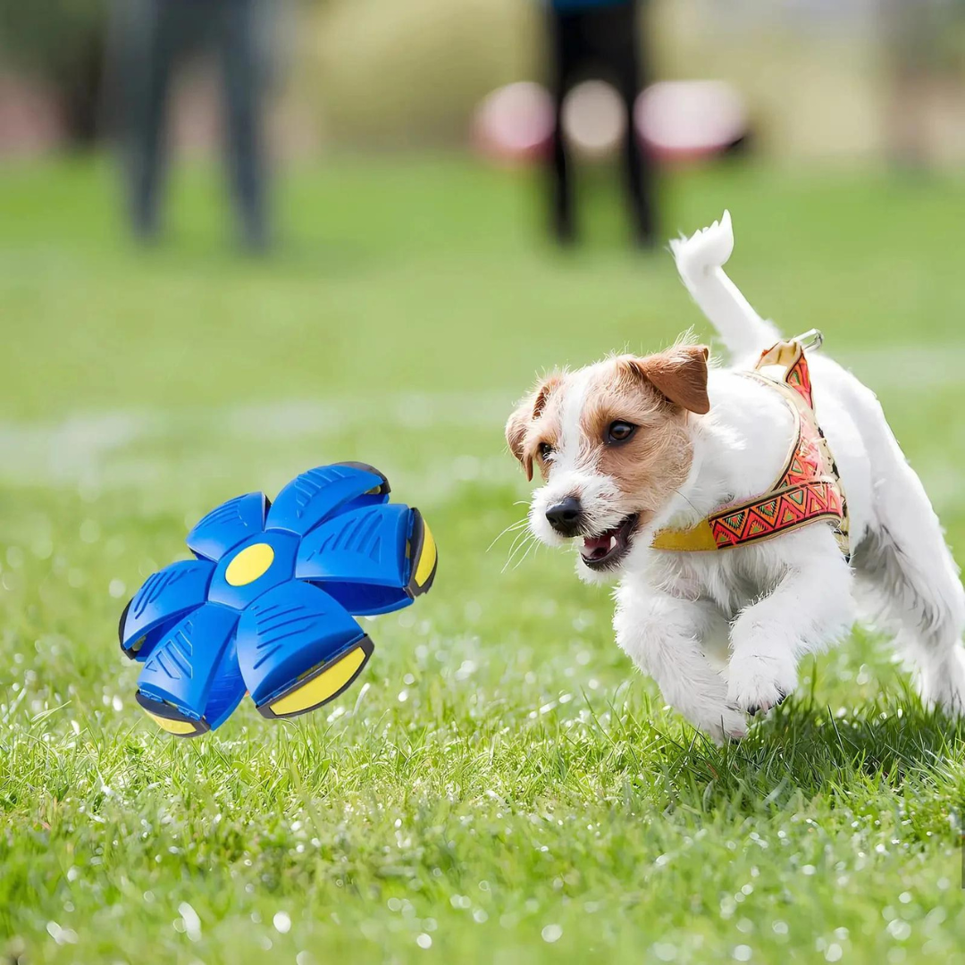 DogFri™ DiscBall 1+1 ILMAINEN - Doggy Levy Pallo Lemmikki Lelu