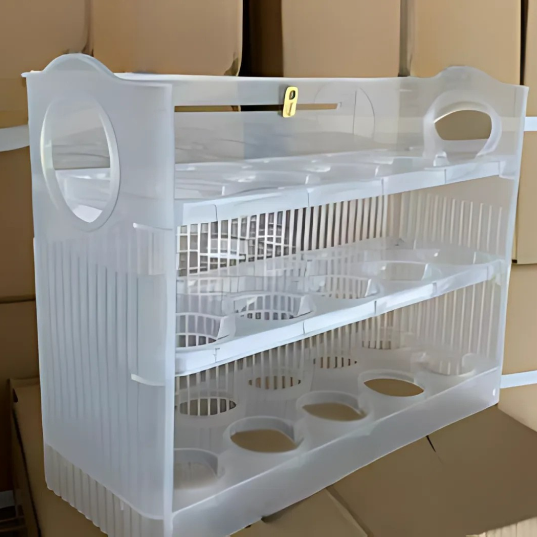 EggBox – Kolmitasoinen Itsepalautuva Munien Säilytysrasia