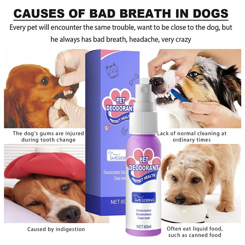 DogCatFri™ PetSpray: Lemmikkieläinten Hengityksen Raikastussuihke