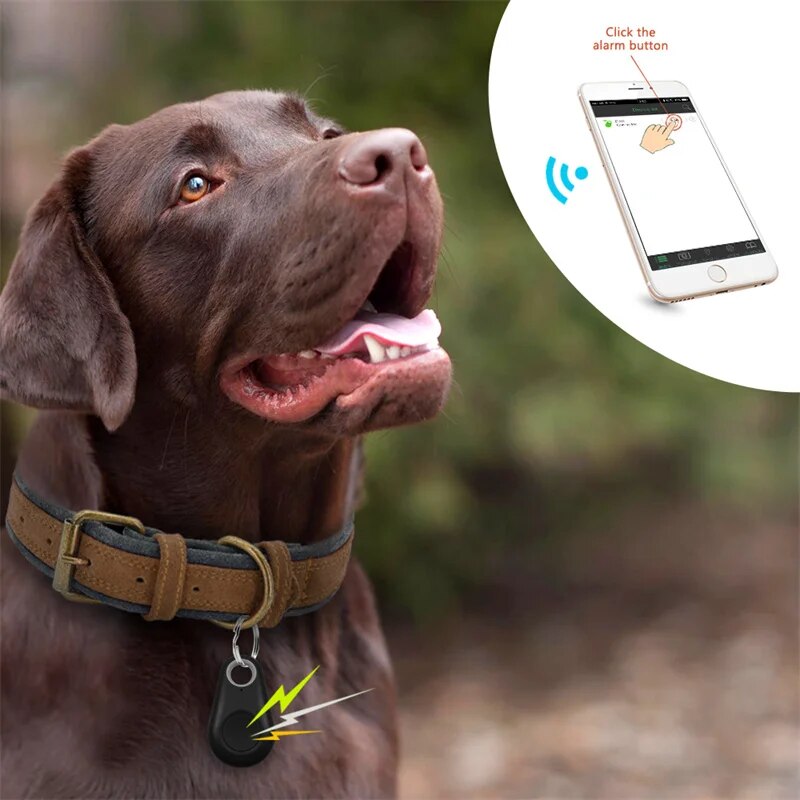 DogCatFri™ PetTracker - Bluetooth Lemmikki Langaton Tracker